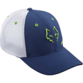 GORRO BABOLAT JUAN LEBRÓN AZUL-VERDE